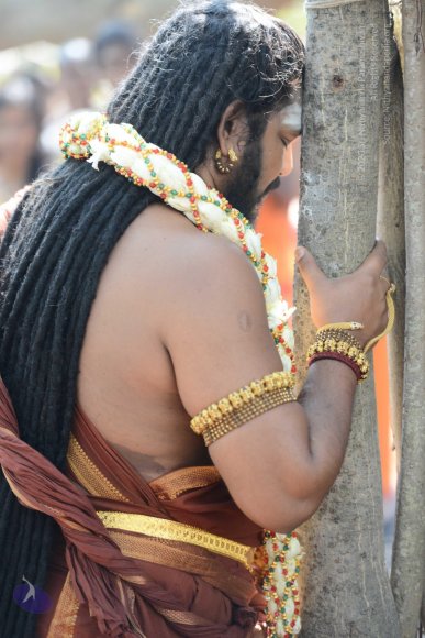 20161223_Photo_1082_DSC_4279_CMP_WM