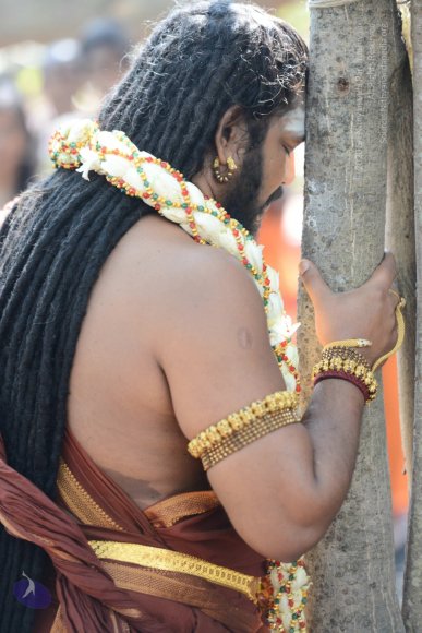 20161223_Photo_1084_DSC_4281_CMP_WM