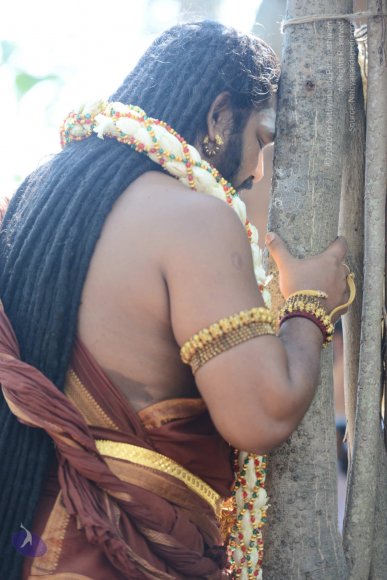 20161223_Photo_1094_DSC_4291_CMP_WM