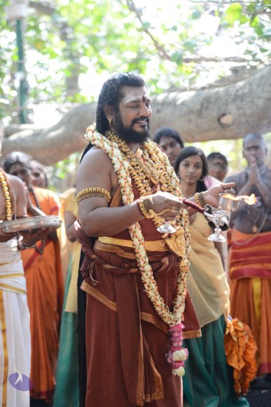 20161223_Photo_1108_DSC_4318_CMP_WM