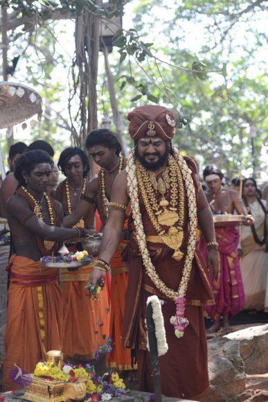 20161223_Photo_1127_DSC_4340_CMP_WM