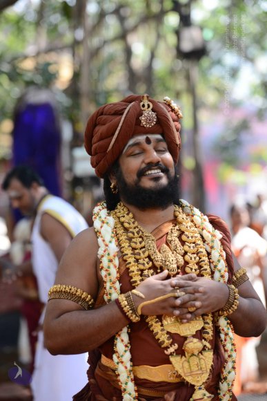 20161223_Photo_1142_DSC_4355_CMP_WM