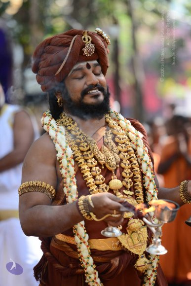 20161223_Photo_1167_DSC_4380_CMP_WM