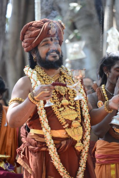 20161223_Photo_1208_DSC_4429_CMP_WM