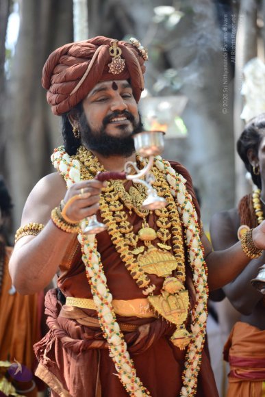 20161223_Photo_1214_DSC_4435_CMP_WM