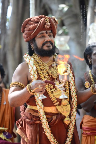 20161223_Photo_1219_DSC_4440_CMP_WM