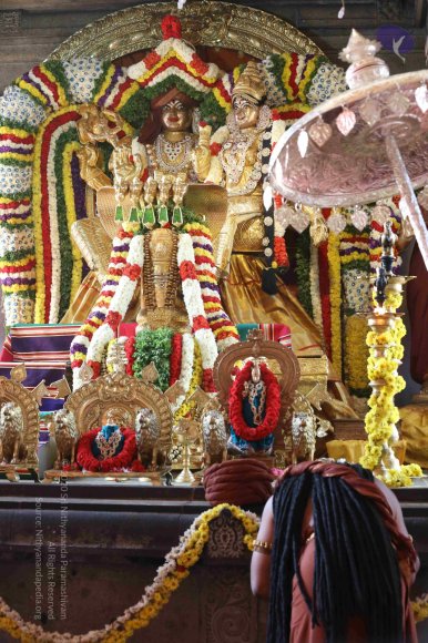 20161223_Photo_1241_G28A3870_CMP_WM