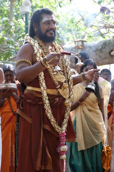 20161223_Photo_1277_G28A3952_CMP_WM