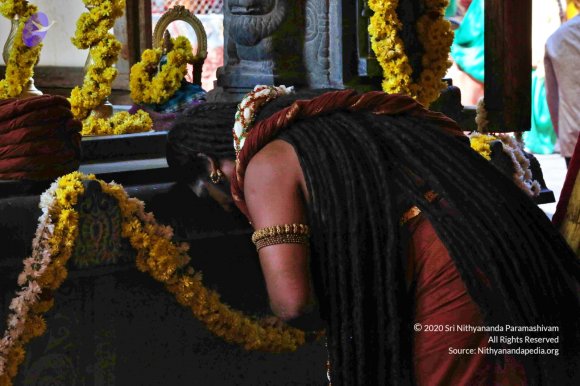 20161223_Photo_1303_G28A4026_CMP_WM