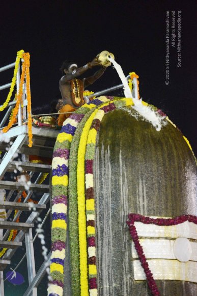 20161223_Photo_1072_DSC_5216_CMP_WM