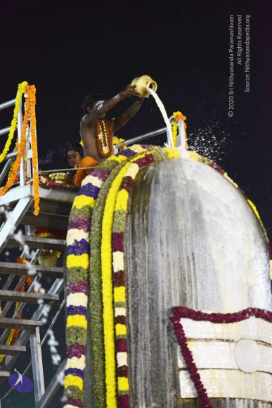 20161223_Photo_1075_DSC_5219_CMP_WM