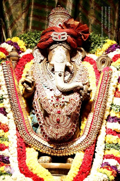 20161223_Photo_1153_IMGL7090_CMP_WM