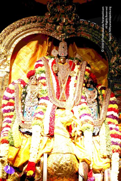 20161223_Photo_1154_IMGL7091_CMP_WM