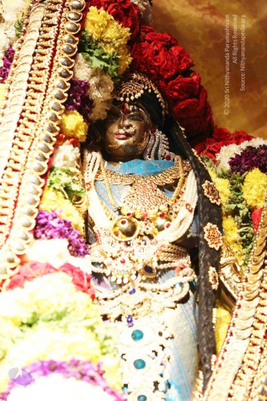 20161223_Photo_1161_IMGL7105_CMP_WM