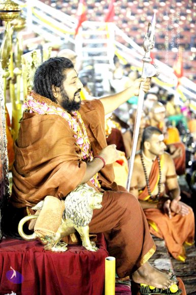 20161223_Photo_1183_IMG_8115_CMP_WM