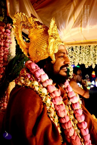 20161223_Photo_1024_DSC_5556_CMP_WM