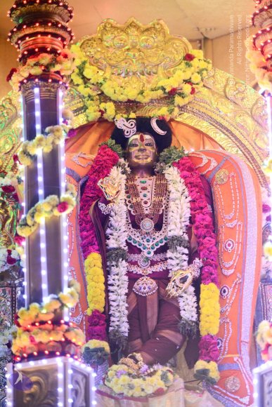 20161223_Photo_1043_DSC_5835_CMP_WM