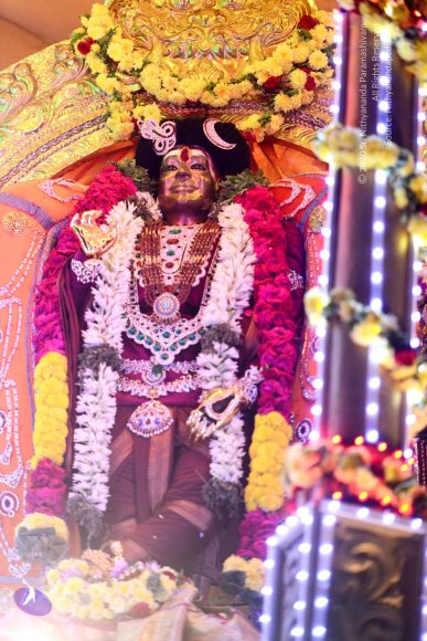 20161223_Photo_1047_DSC_5839_CMP_WM