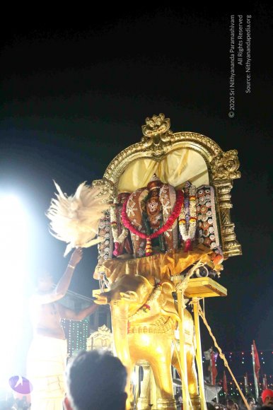 20161223_Photo_1077_IMGL7397_CMP_WM