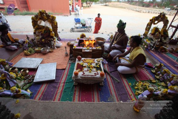 20160227_Photo_1007_IMG_7566_CMP_WM