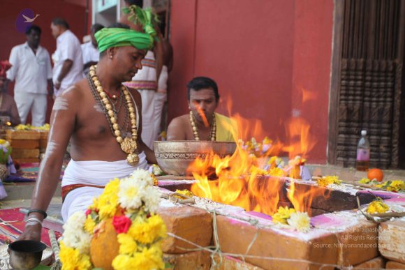 20160227_Photo_1008_IMG_7567_CMP_WM