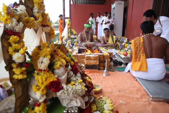 20160227_Photo_1013_IMG_7577_CMP_WM