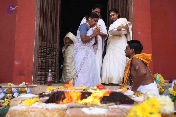 20160227_Photo_1017_IMG_7590_CMP_WM