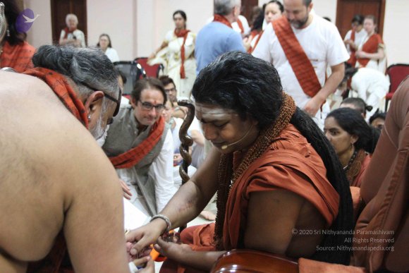 20160215_Photo_1028_IMG_3331_CMP_WM