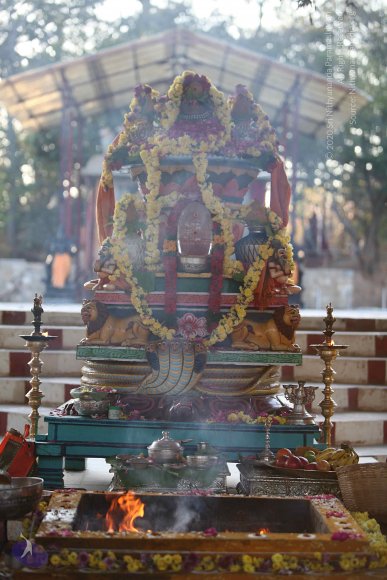 20160216_Photo_1000_IMG_0897_CMP_WM