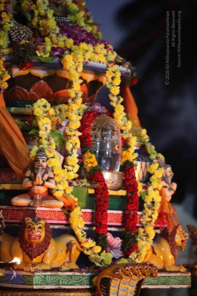 20160216_Photo_1002_IMG_0937_CMP_WM