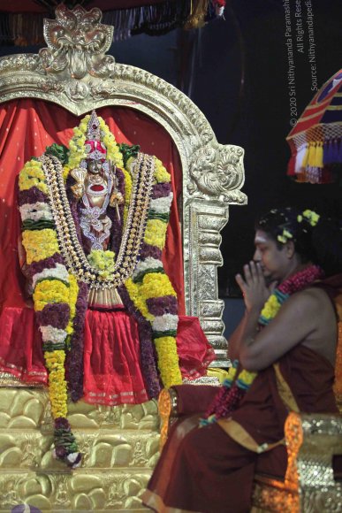 20160216_Photo_1008_IMG_1009_CMP_WM