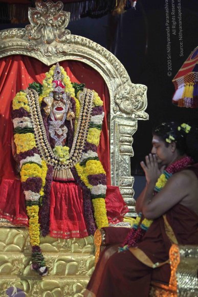 20160216_Photo_1009_IMG_1010_CMP_WM