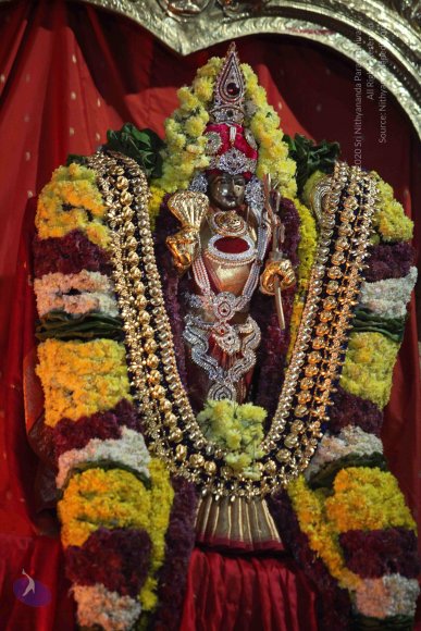 20160216_Photo_1016_IMG_1027_CMP_WM