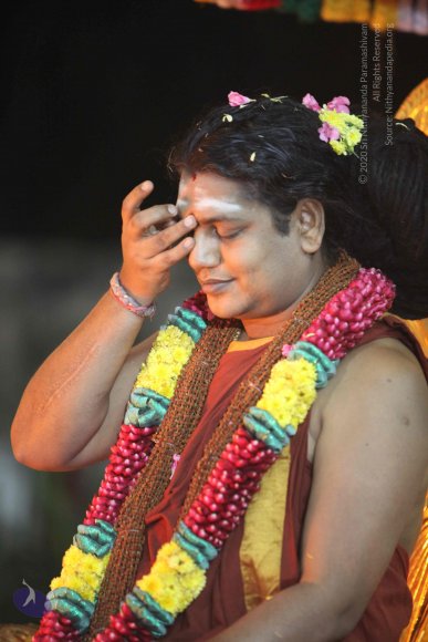 20160216_Photo_1018_IMG_1072_CMP_WM