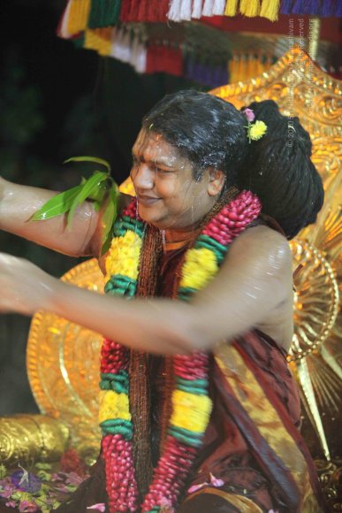 20160216_Photo_1022_IMG_1082_CMP_WM