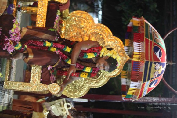 20160216_Photo_1035_IMG_1117_CMP_WM