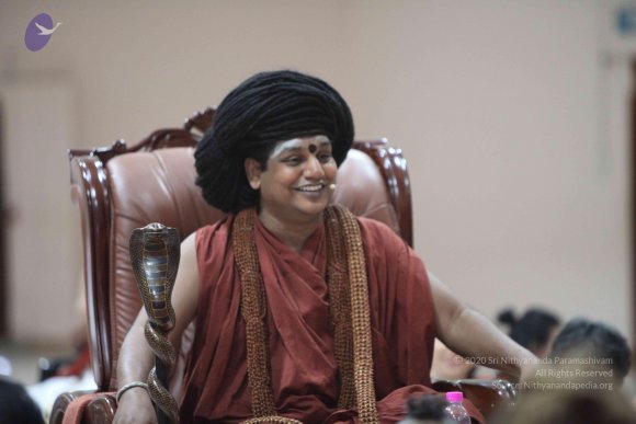 2-TEAMILY-DINNER_Photo_1049_IMG_4094_CMP_WM