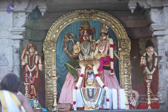 2-TEAMILY-DINNER_Photo_1085_IMG_4153_CMP_WM