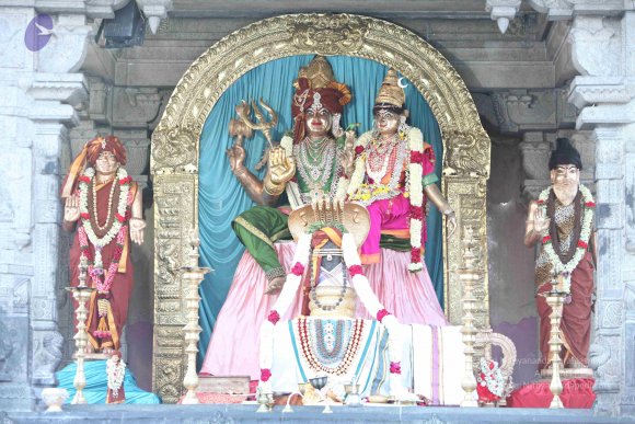 2-TEAMILY-DINNER_Photo_1087_IMG_4156_CMP_WM