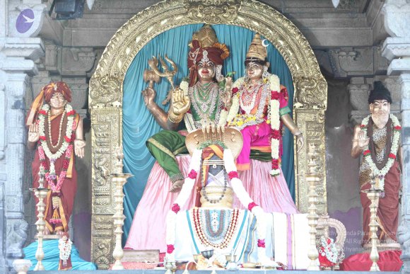 2-TEAMILY-DINNER_Photo_1088_IMG_4157_CMP_WM