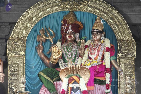 2-TEAMILY-DINNER_Photo_1090_IMG_4159_CMP_WM