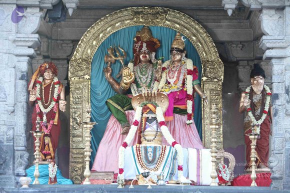 2-TEAMILY-DINNER_Photo_1091_IMG_4160_CMP_WM