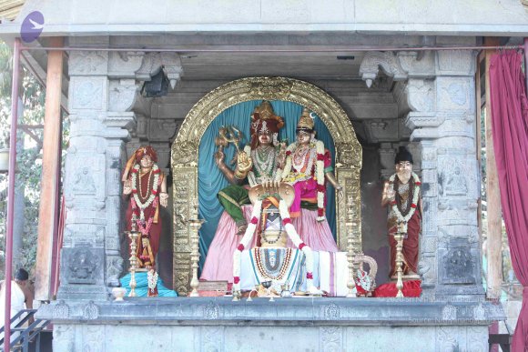 2-TEAMILY-DINNER_Photo_1092_IMG_4161_CMP_WM