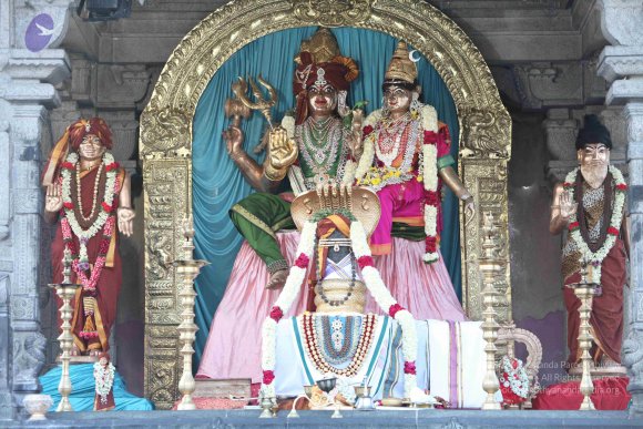 2-TEAMILY-DINNER_Photo_1093_IMG_4162_CMP_WM