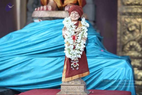 2-TEAMILY-DINNER_Photo_1095_IMG_4164_CMP_WM