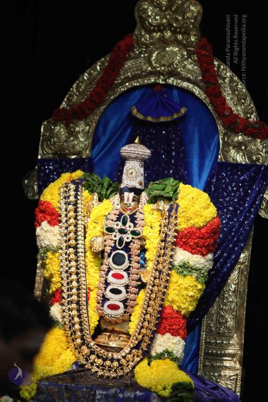 20160219_Photo_1049_IMG_4428_CMP_WM