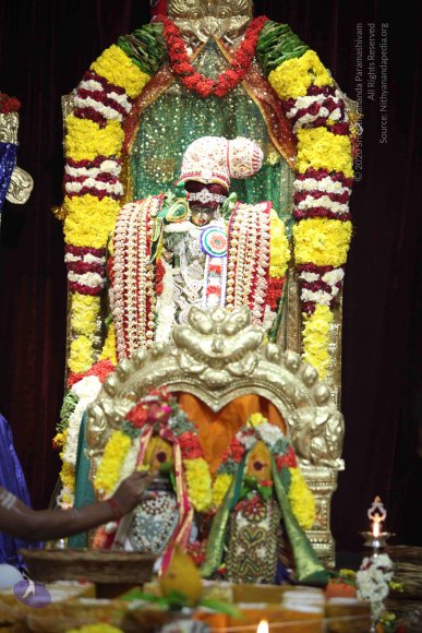 20160219_Photo_1050_IMG_4451_CMP_WM