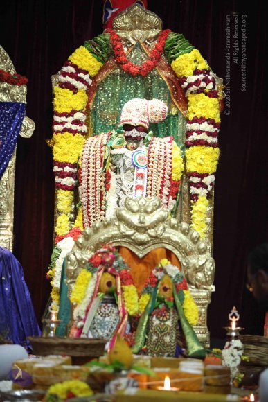 20160219_Photo_1051_IMG_4452_CMP_WM