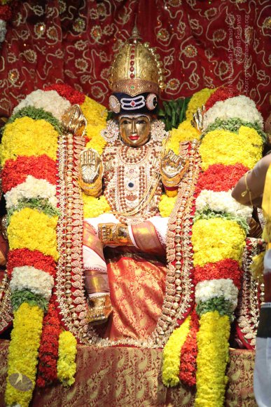 20160219_Photo_1052_IMG_4467_CMP_WM