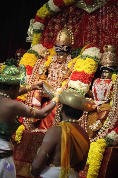 20160219_Photo_1060_IMG_4510_CMP_WM